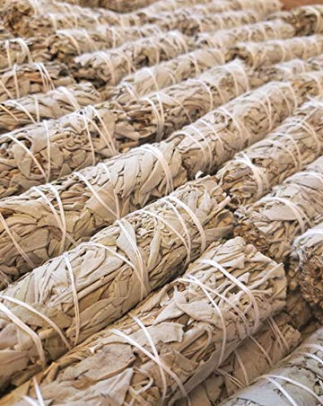 Bulk Sage Bundles Wholesale 25 Pack, Fresh Organic Smudge Sticks, White Sage Sticks for Home Cleansing, Smudging Sage Bulk, Wholesale Sage with Instructions, Charitable! (White Sage - 25 Sticks)
