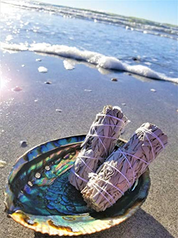 Bulk Sage Bundles Wholesale 25 Pack, Fresh Organic Smudge Sticks, White Sage Sticks for Home Cleansing, Smudging Sage Bulk, Wholesale Sage with Instructions, Charitable! (White Sage - 25 Sticks)
